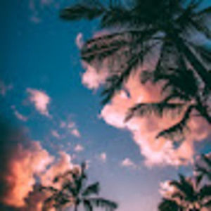 Meet your Posher, Sana